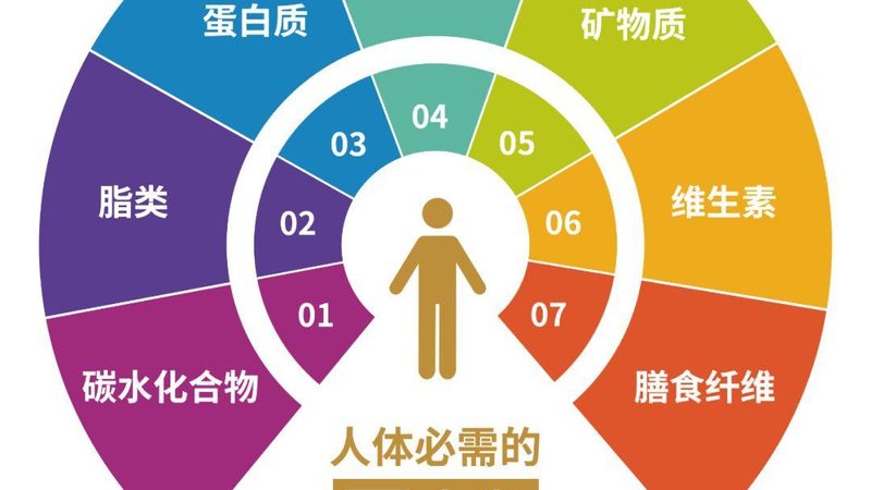 备孕期间，复合维生素的最佳服用时机